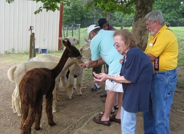 Howard County Haycation